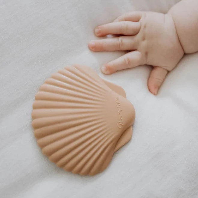 Baby Girl | Seashell